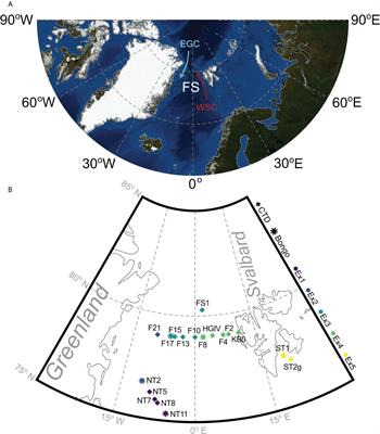 Grazing, egg production and carbon budgets for Calanus finmarchicus across the Fram Strait